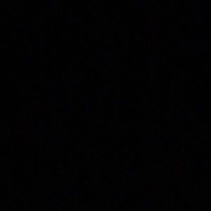 Meet your Posher, Tasha